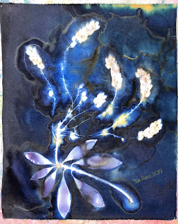 Wet cyanotype_Sue Reno_Image 576