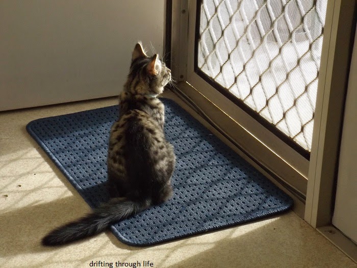 the cat sat on the mat