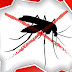 Υλοποίηση του προγράμματος κουνοποκτονίας του έτους 2018
