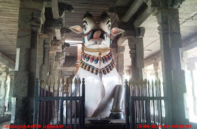 Thiruvidaimarudur Temple Nandhi