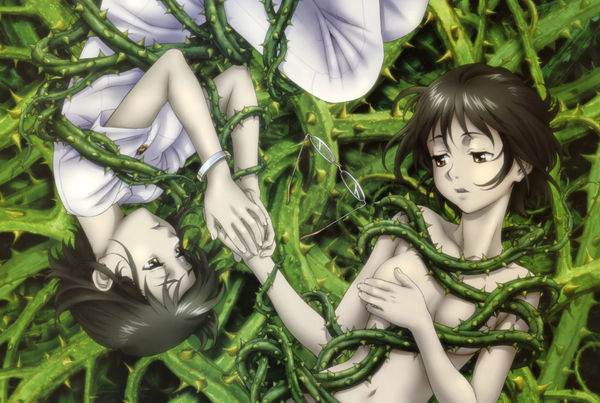 Get Ibara No Ou Bd Subtitle Indonesia Meguminime HD Get Wallpaper Ibara No Ou Bd Subtitle Indonesia Meguminime Desktop Wallpaper