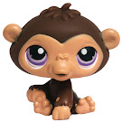 Littlest Pet Shop Large Playset Chimpanzee (#359) Pet Littlest Pet Shop Large Playset Chimpanzee (#359) Pet