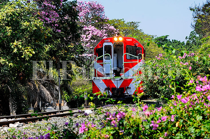 CRÓNICA FERROVIARIA Colombia Las razones por las que el Ferrocarril