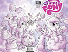 My Little Pony Friendship is Magic #13 Comic Cover Double Variant