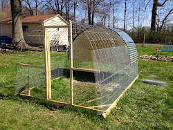 chicken tractor diy coops coop greenhouse cattle panels building hoop chickens garden country runs portable visit ft