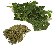oregano_anticanceroso