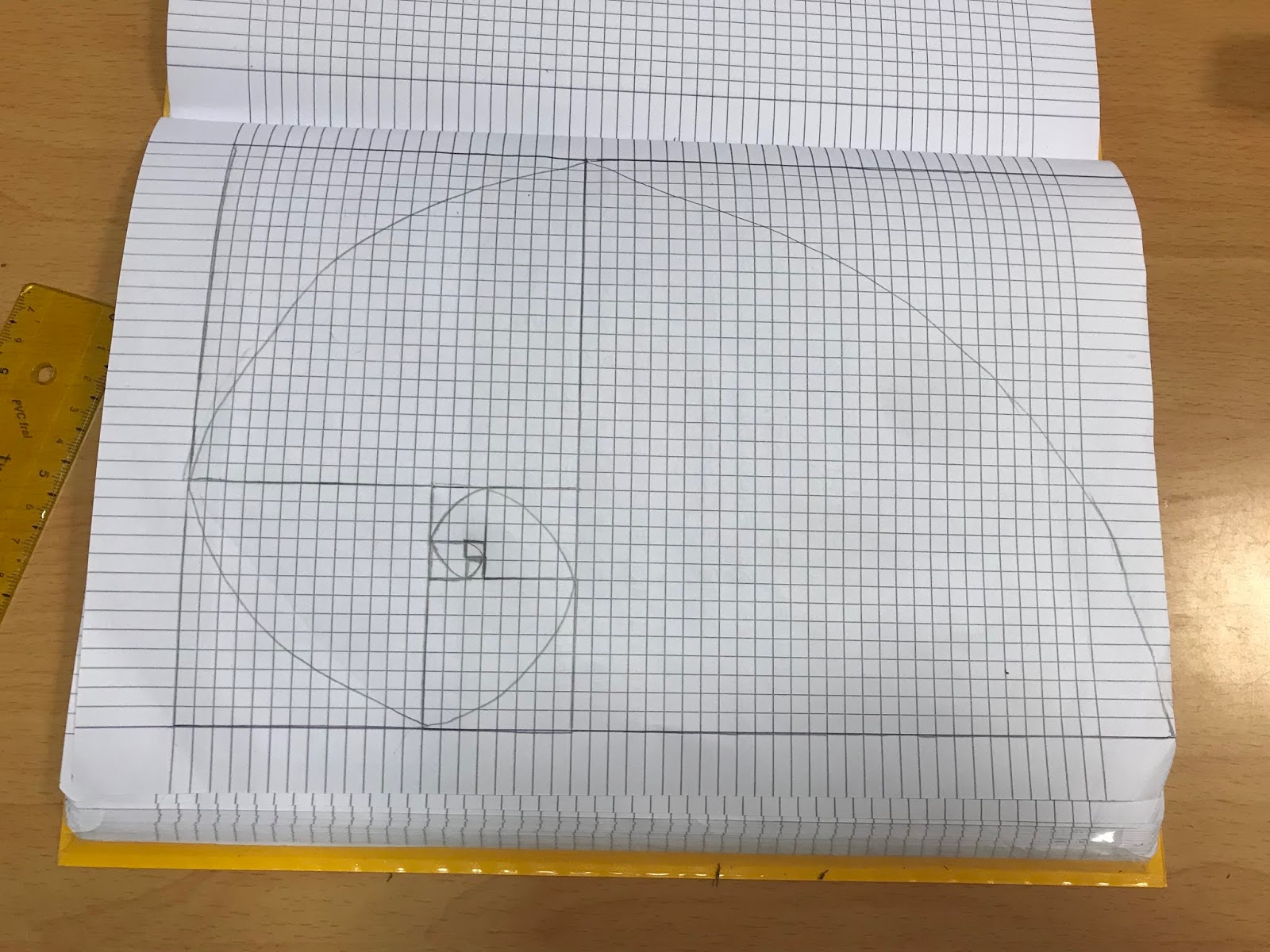 Il Fibonacci Day e la spirale "magica"!