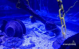 jakarta aquarium neo soho