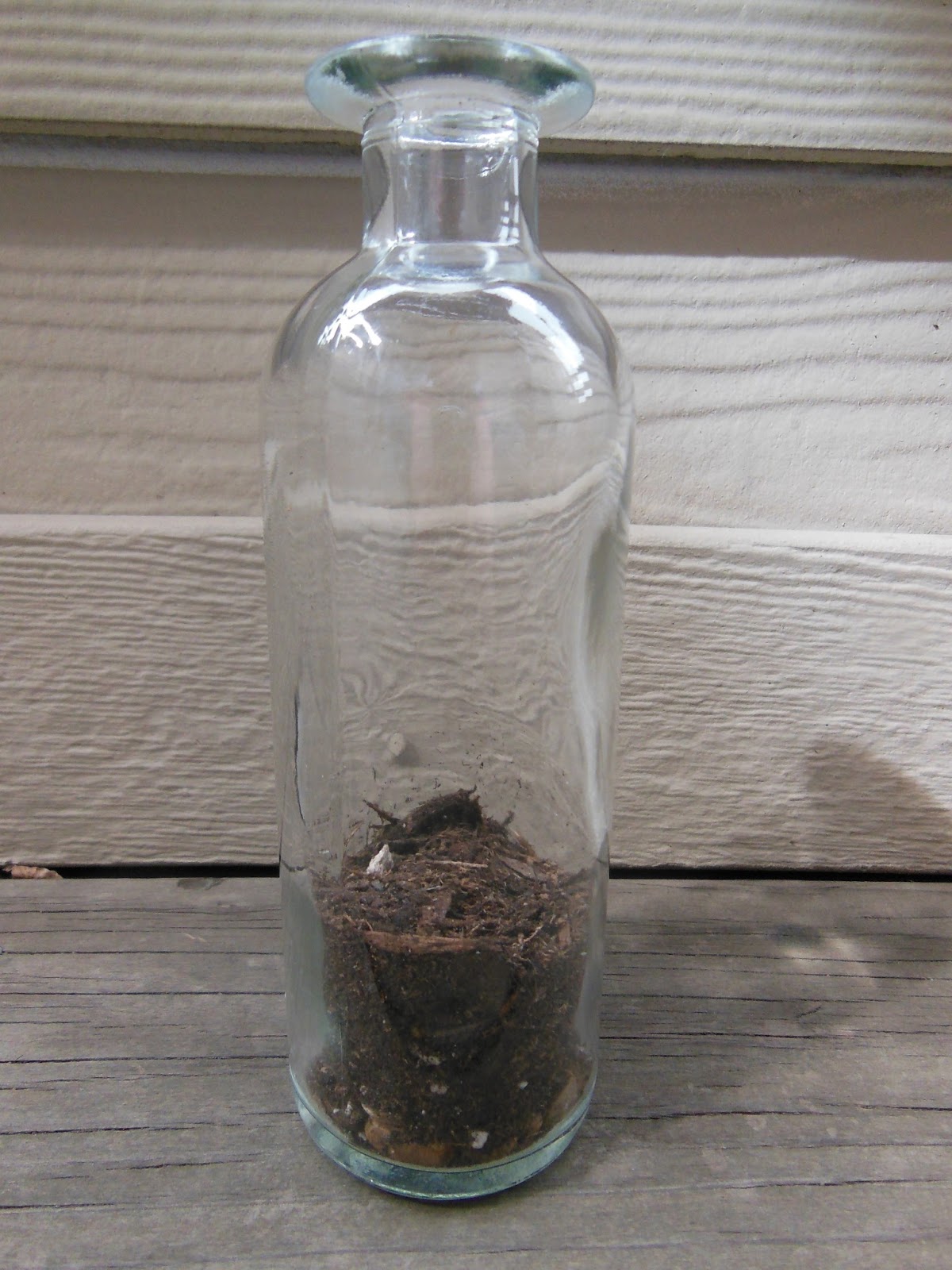 The Green House Bottle Terrarium