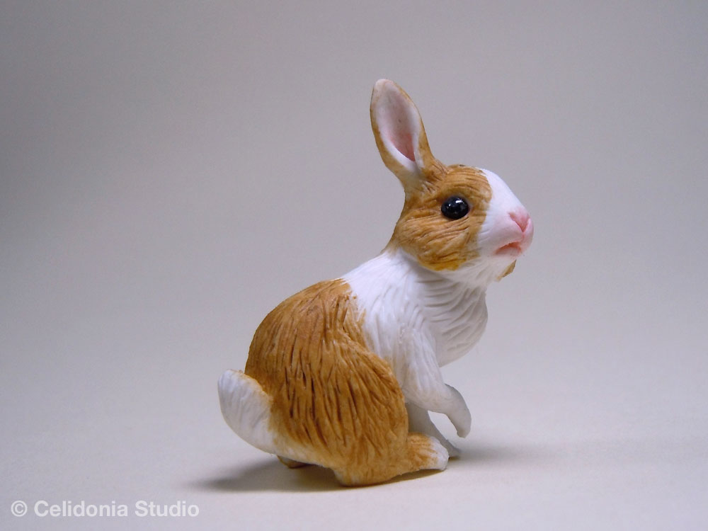 Celidonia Studio en: Little Dutch Rabbit