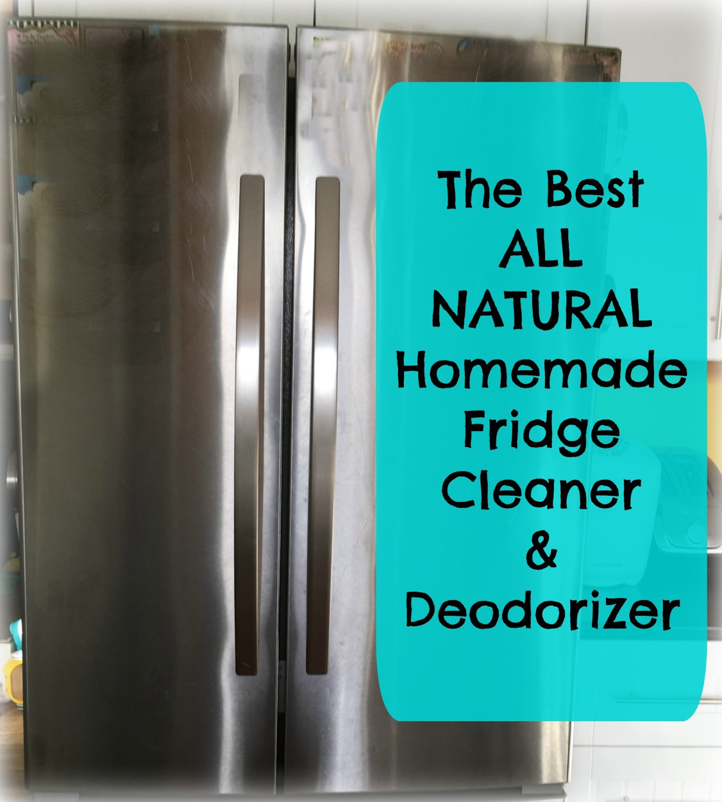 Christian Ladies Network Featured Post The Best All Natural Fridge