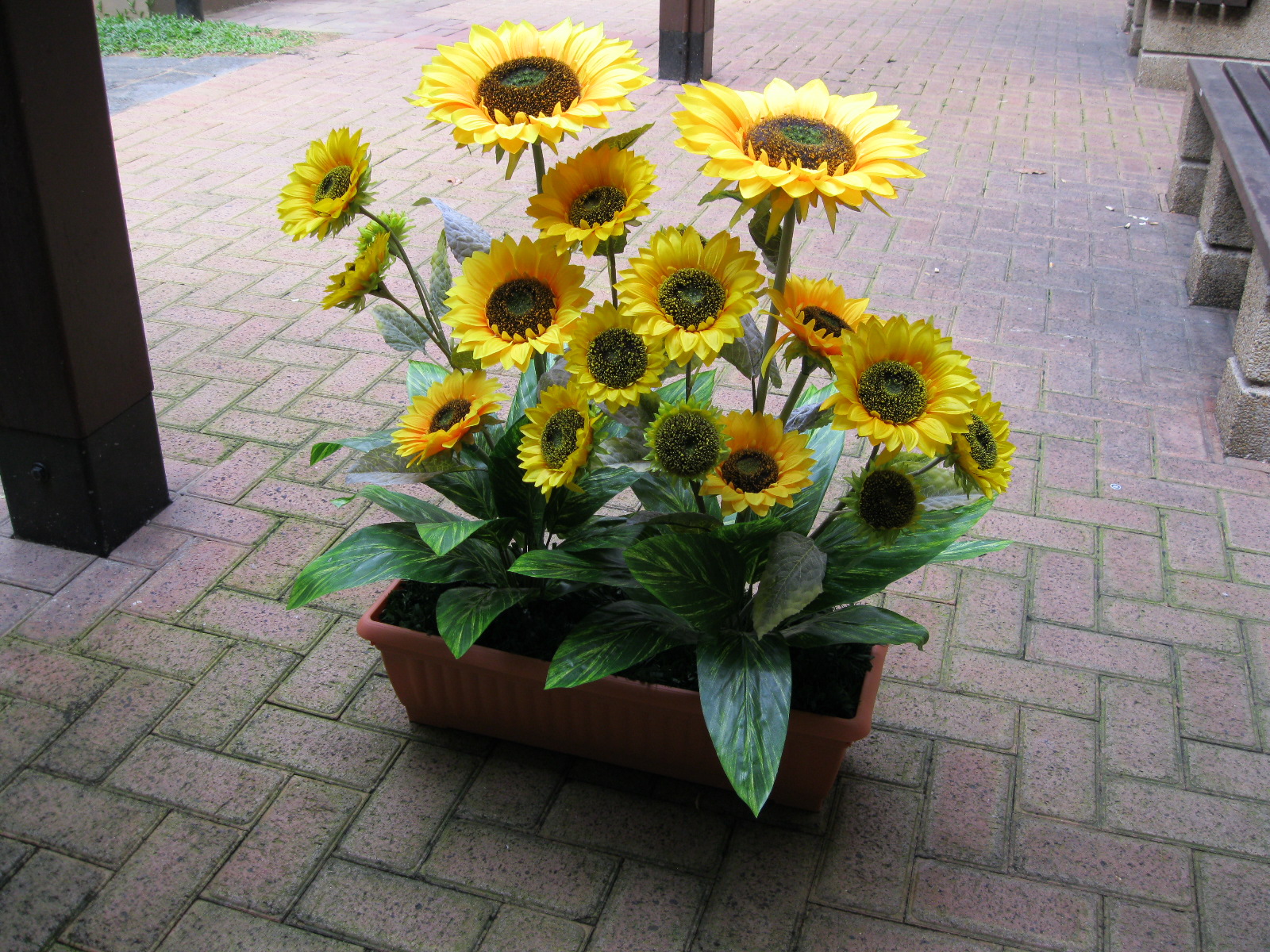 planter sunflower box