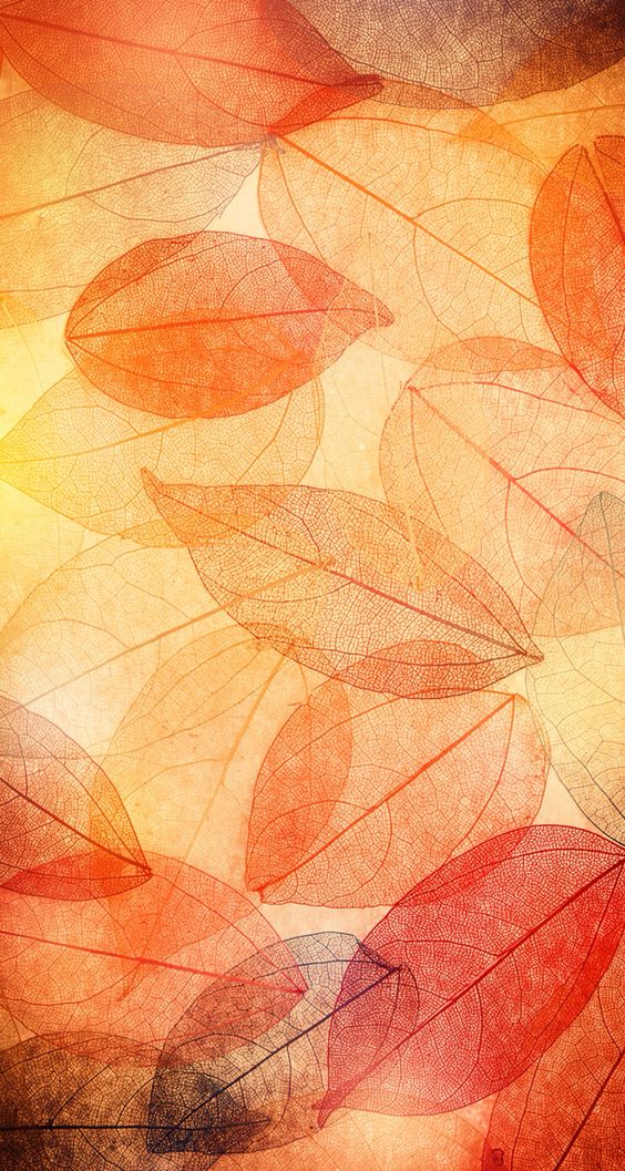 5 fonds d'écran de téléphone : sélection automnale 5 fonds d'écran de téléphone : sélection automnale - Le Carnet de