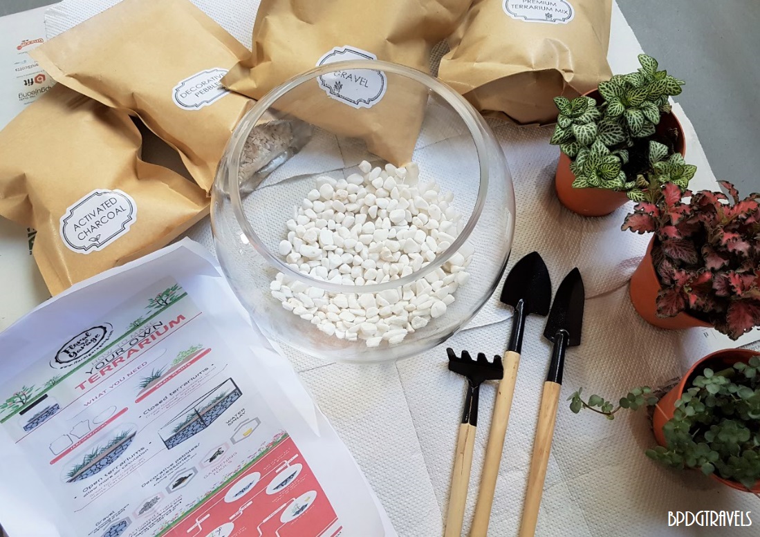 DIY Terrarium Kit by Floral Garage Singapore BPDGTravels Building