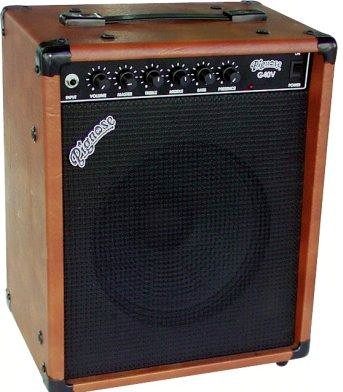The Unique Guitar Blog: The Pignose Amp