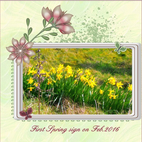April 2016 First Spring sign