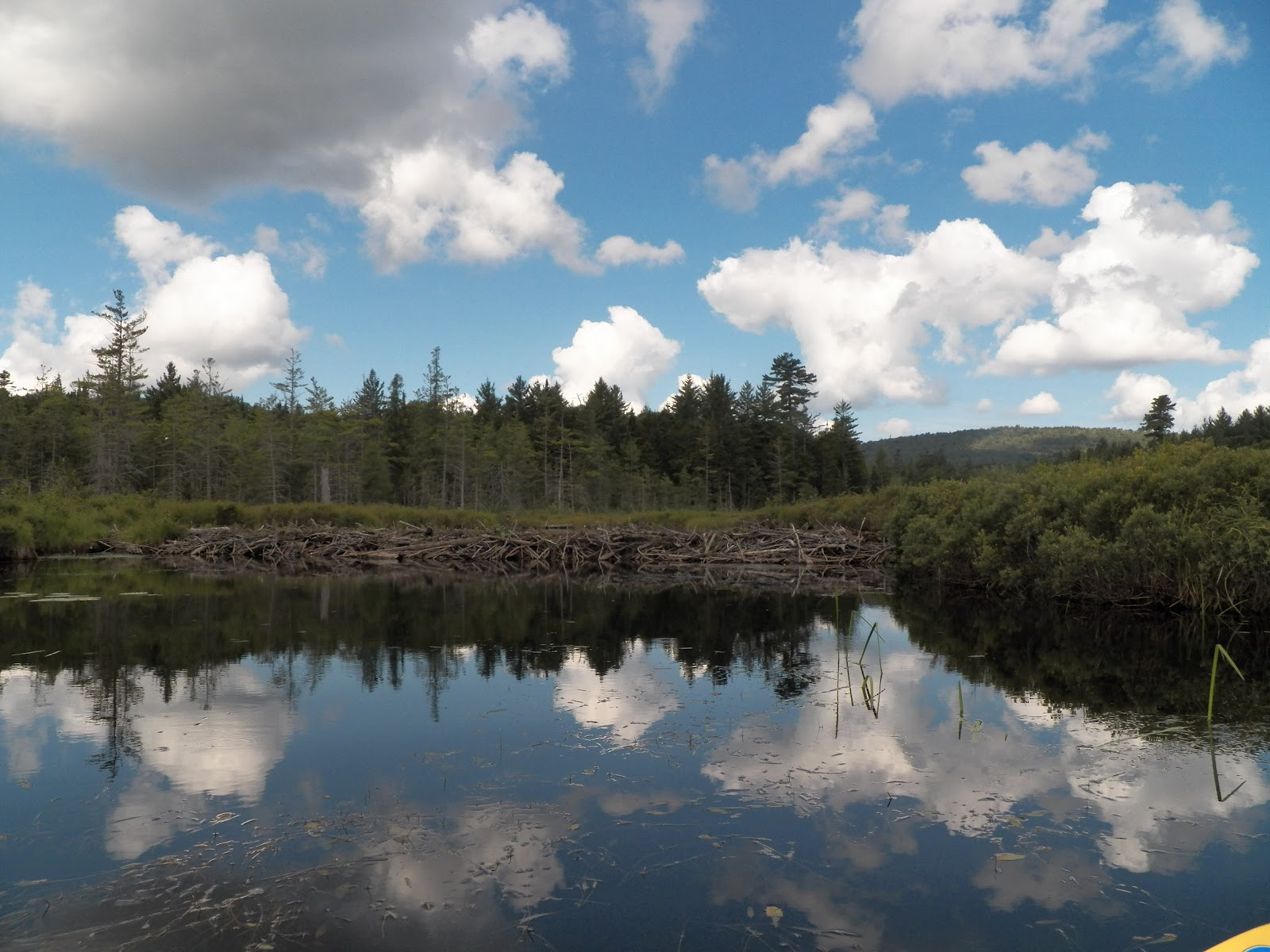 Quiet Kayaking in New York State: Forked Lake, part two