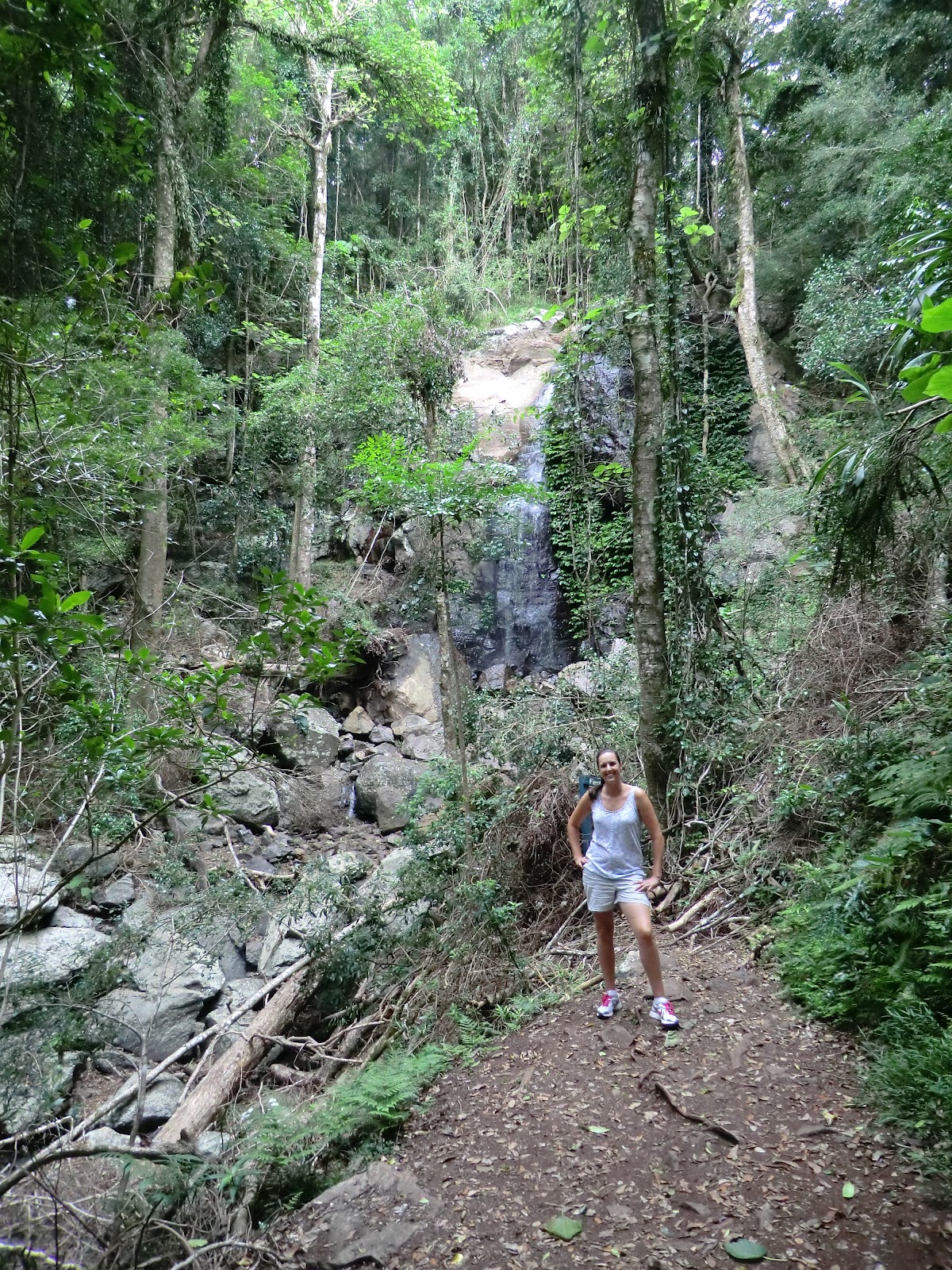 Adney Adventures... Bunya Mountains