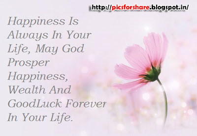 Popular greetings cards for new year: 1 january Pics For Share: GREETING CARDS