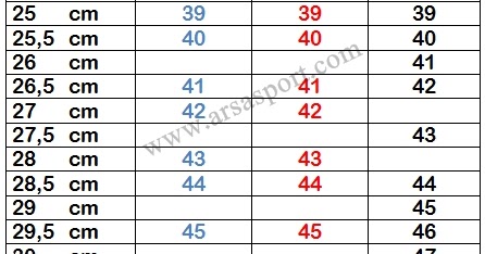 ARIS SARYANTO BERBAGI ILMU Panduan Ukuran  Sepatu  Dalam  Cm  