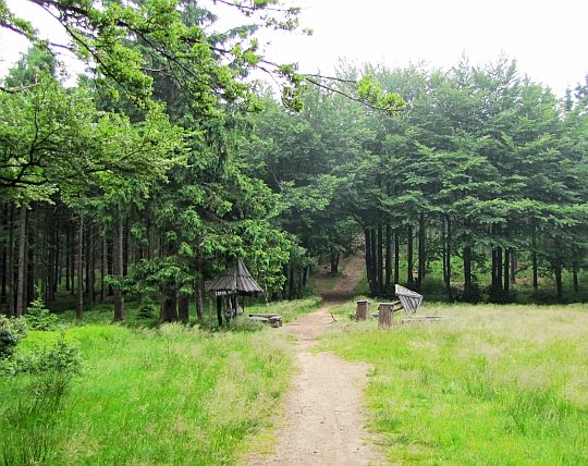 Przełęcz Zimna Polanka (879 m n.p.m.).