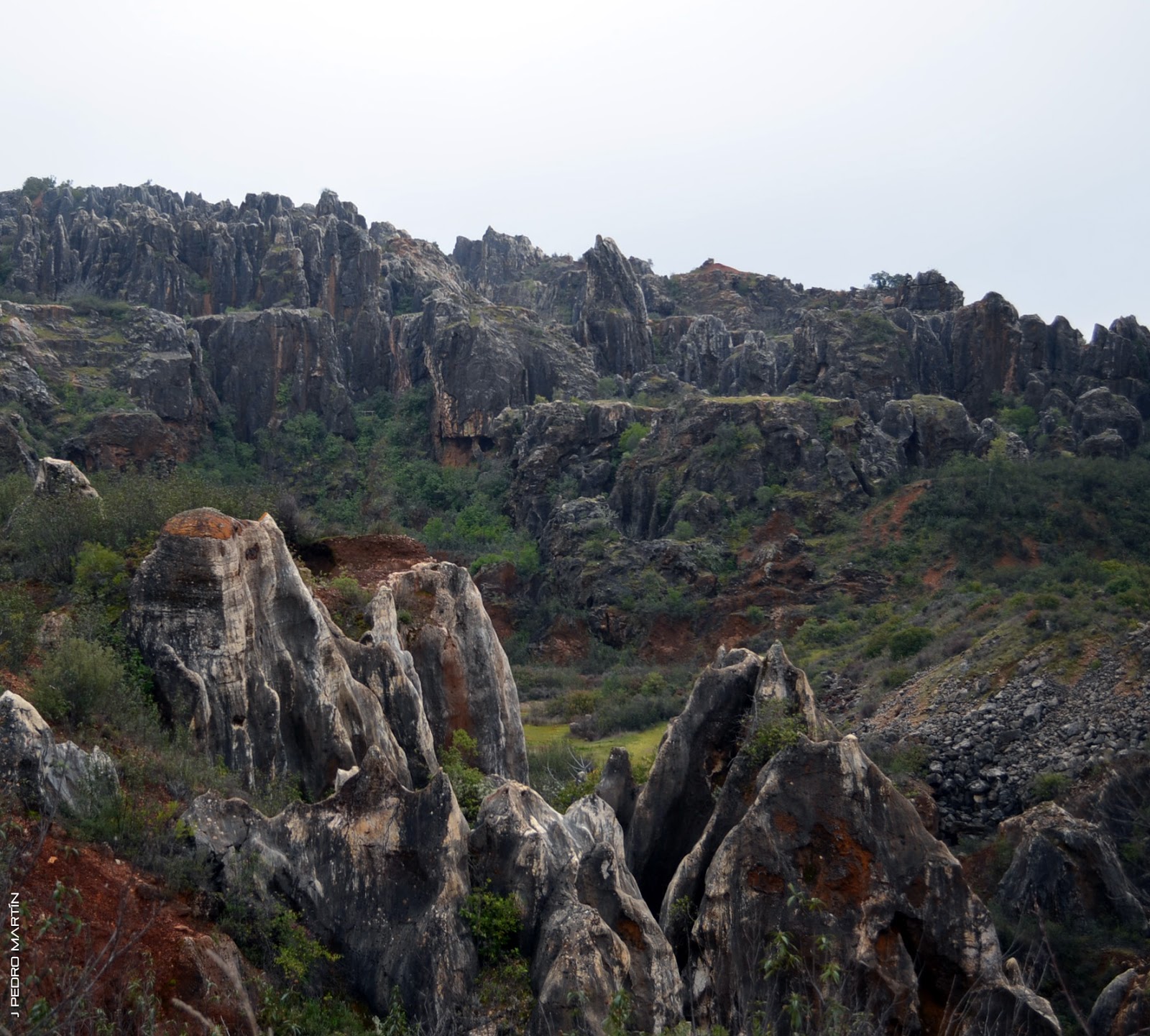 EL CERRO DEL HIERRO J PEDRO MARTÍN