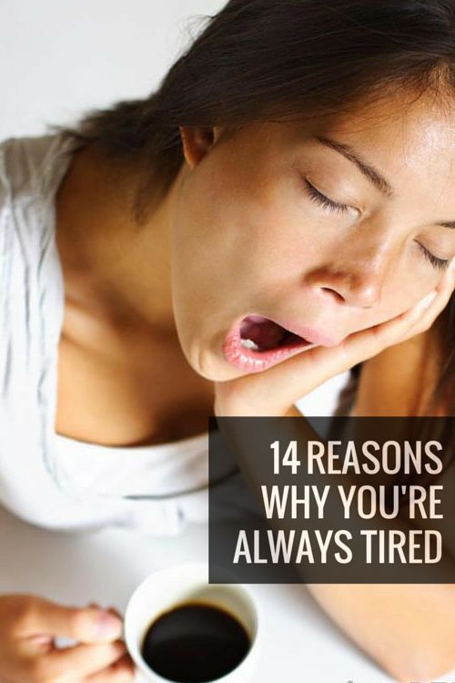 14 Reasons Why You Are Always Tired Rosegal Blog