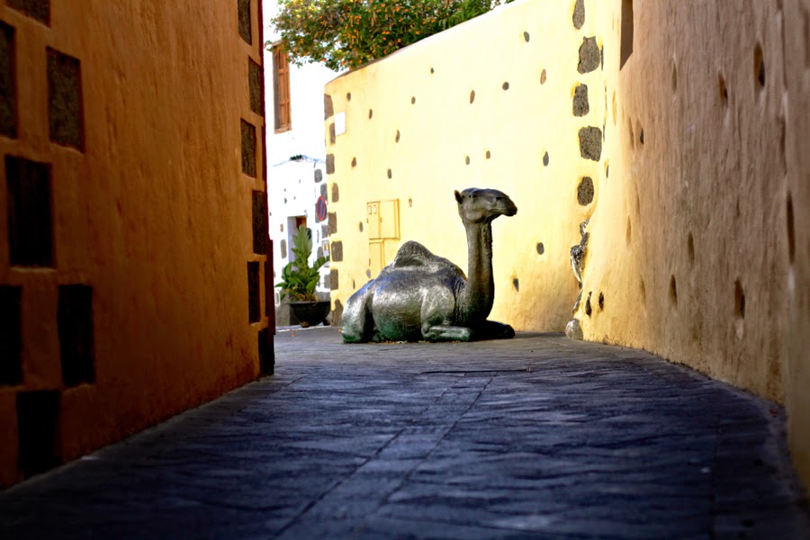 BLOG MODE HOMME PREPPY DANDY CONSEIL STYLE PARIS ELEGANCE TENDANCE JEUNE canaries BLOG MODE HOMME PREPPY DANDY CONSEIL STYLE PARIS ELEGANCE TENDANCE JEUNE canaries