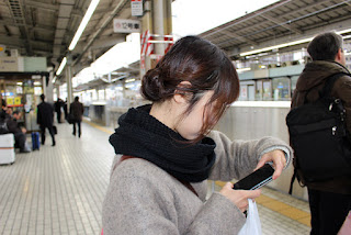 kanagawa travel diary
