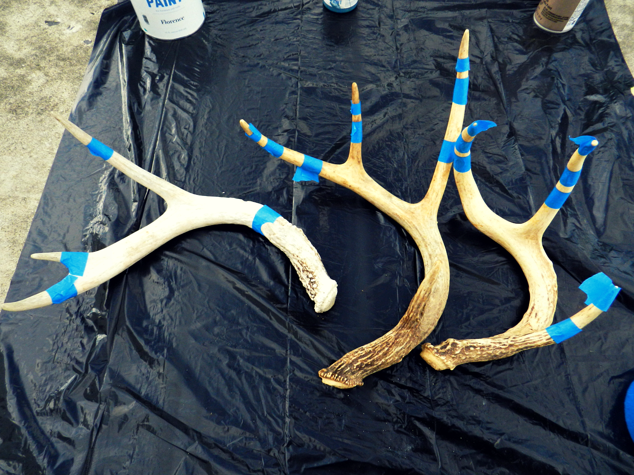 Homegrown State Of Mind Diy Painted Antlers
