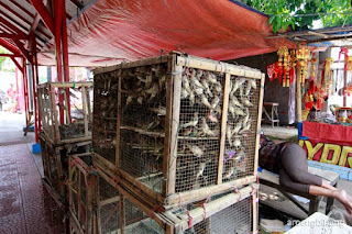 kelenteng bahtera bhakti ancol