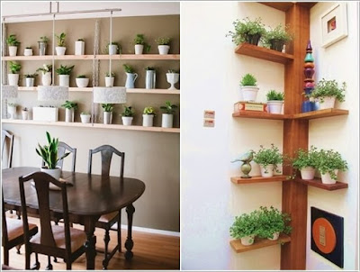 Thay vì treo, đặt những chậu cây nhỏ trên giá gỗ cũng mang lại cái nhìn khác lạ Thay vì treo, đặt những chậu cây nhỏ trên giá gỗ cũng mang lại cái nhìn khác lạ