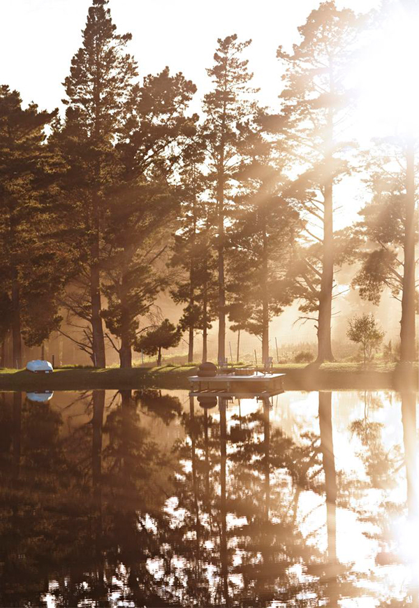 mezcla-de-estilos-decoracion-granja-africa