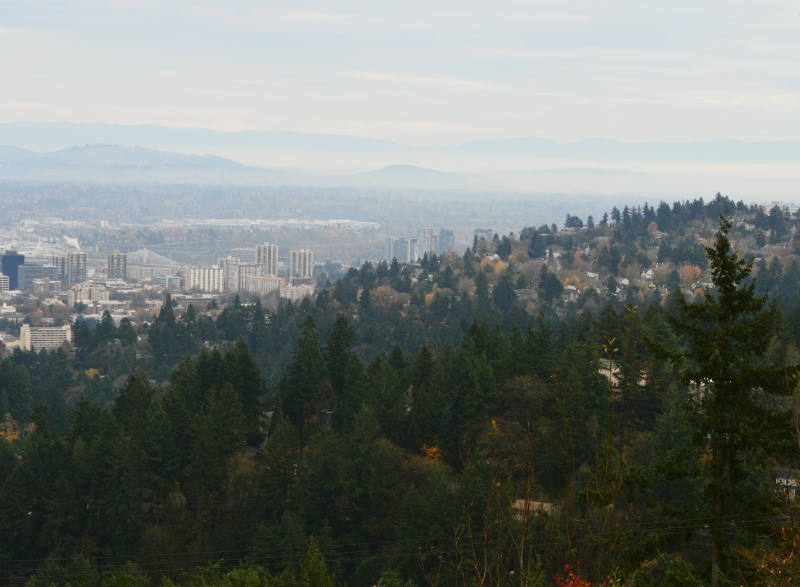 5 Reasons to Visit Portland, Oregon | Organized Mess