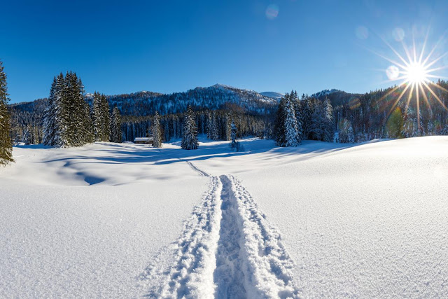 Pulverschnee im Chiemgau