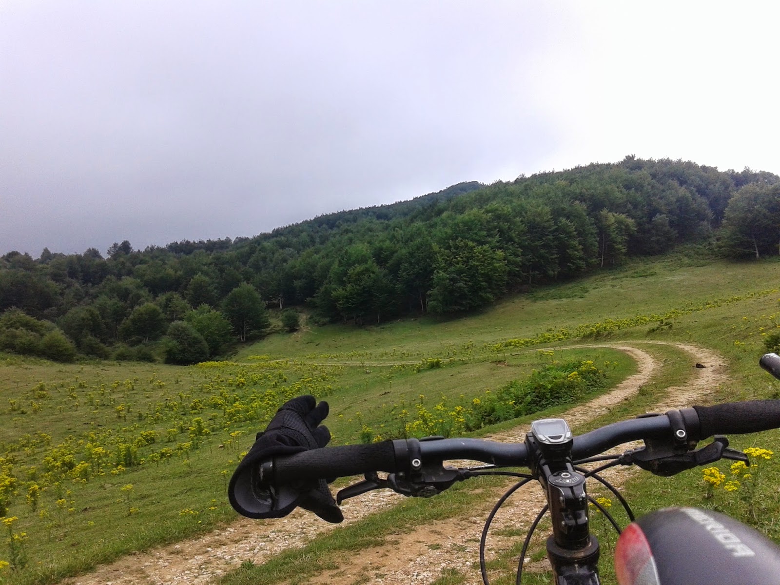 BICIOSO COMPULSIVO VILLAR DE TORRE