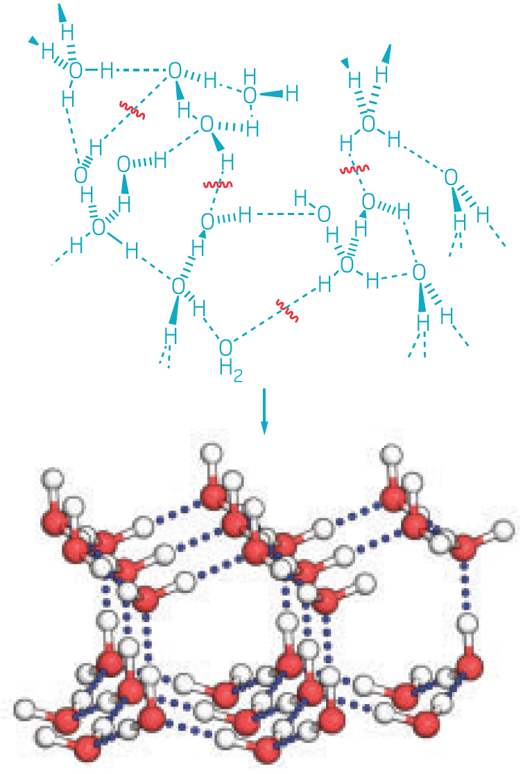 CAPE CHEMISTRY Why Warm Water Freezes Faster Than Cold