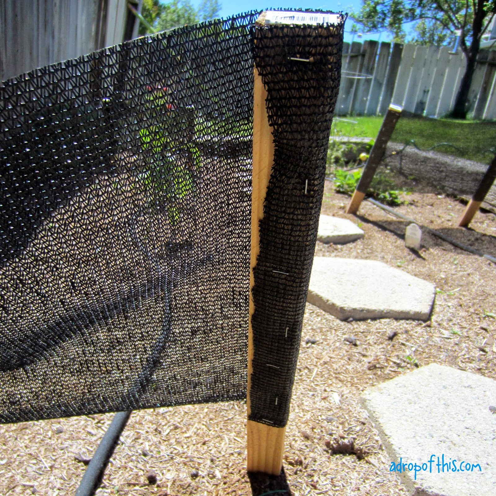 A Drop of This Making Your Own Plant Shade