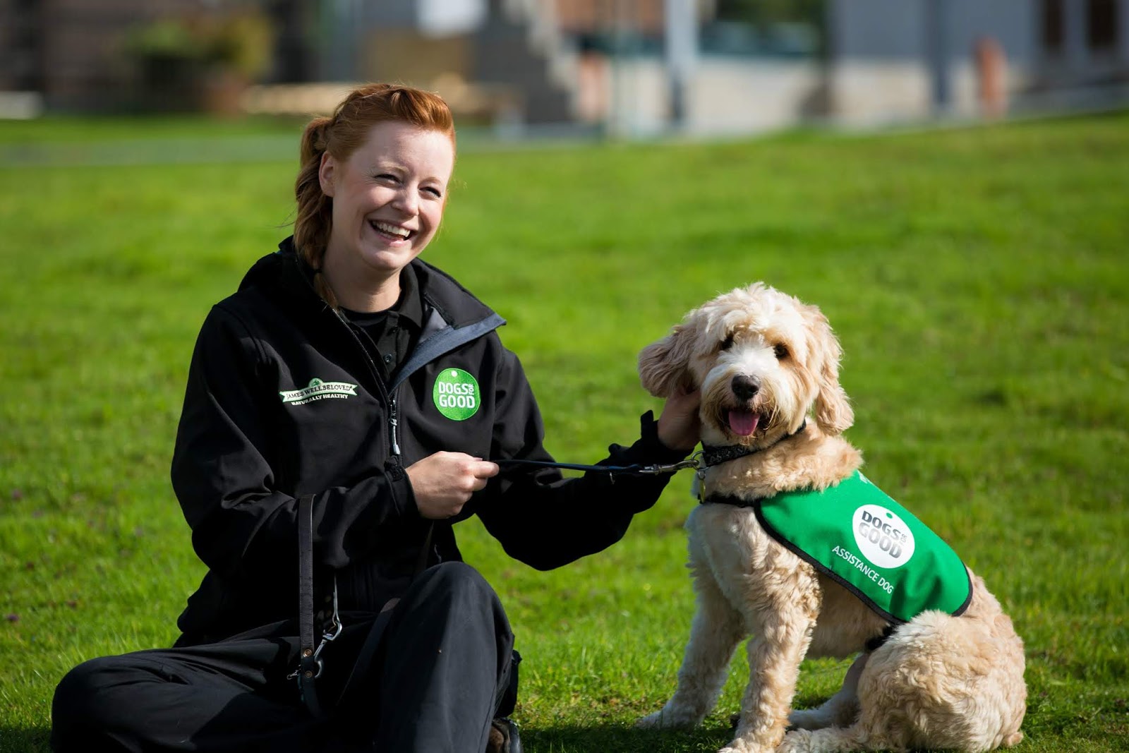 International Assistance Dog Week Starts This Weekend international-assistance-dog-week-starts-this-weekend