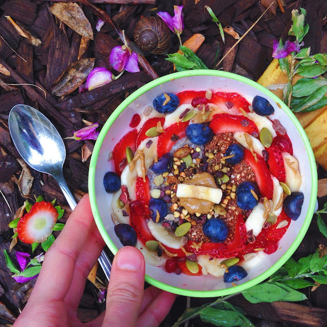 Superfood Chia Seed Pudding Porridge (Gluten Free, Vegan, Oat Free)