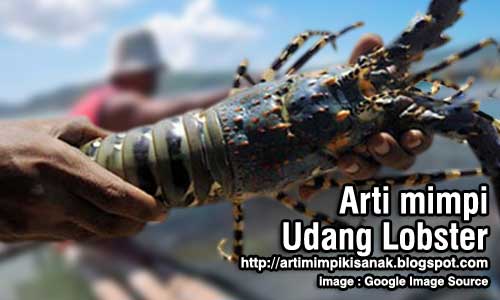 14+ Arti Mimpi Menangkap Udang Lobster