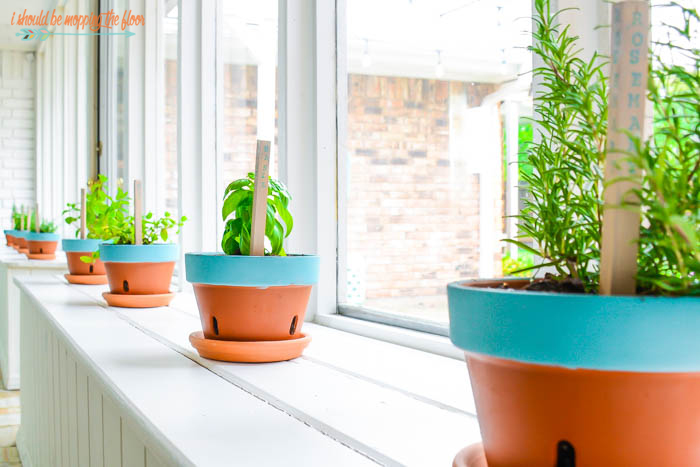 Indoor Herb Garden | Bring the herbs inside so they last longer in extreme conditions. This project is easy to put together and is the perfect low maintenance herb garden.