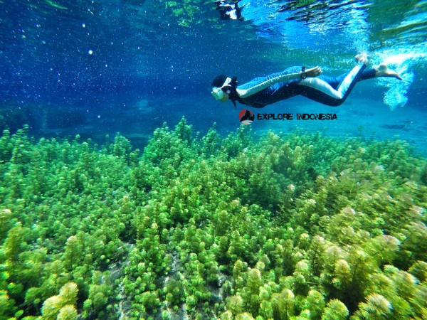tempat wisata hits Sumber Sirah di malang tempat wisata hits Sumber Sirah di malang