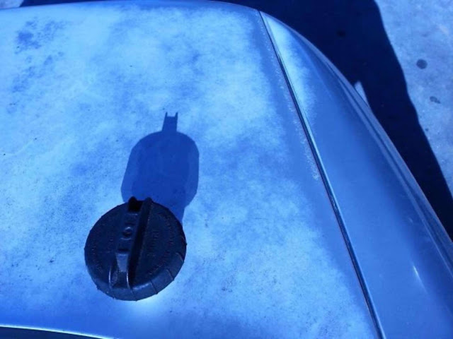 21 imagens surpreendentes de sombras Elfandarilha