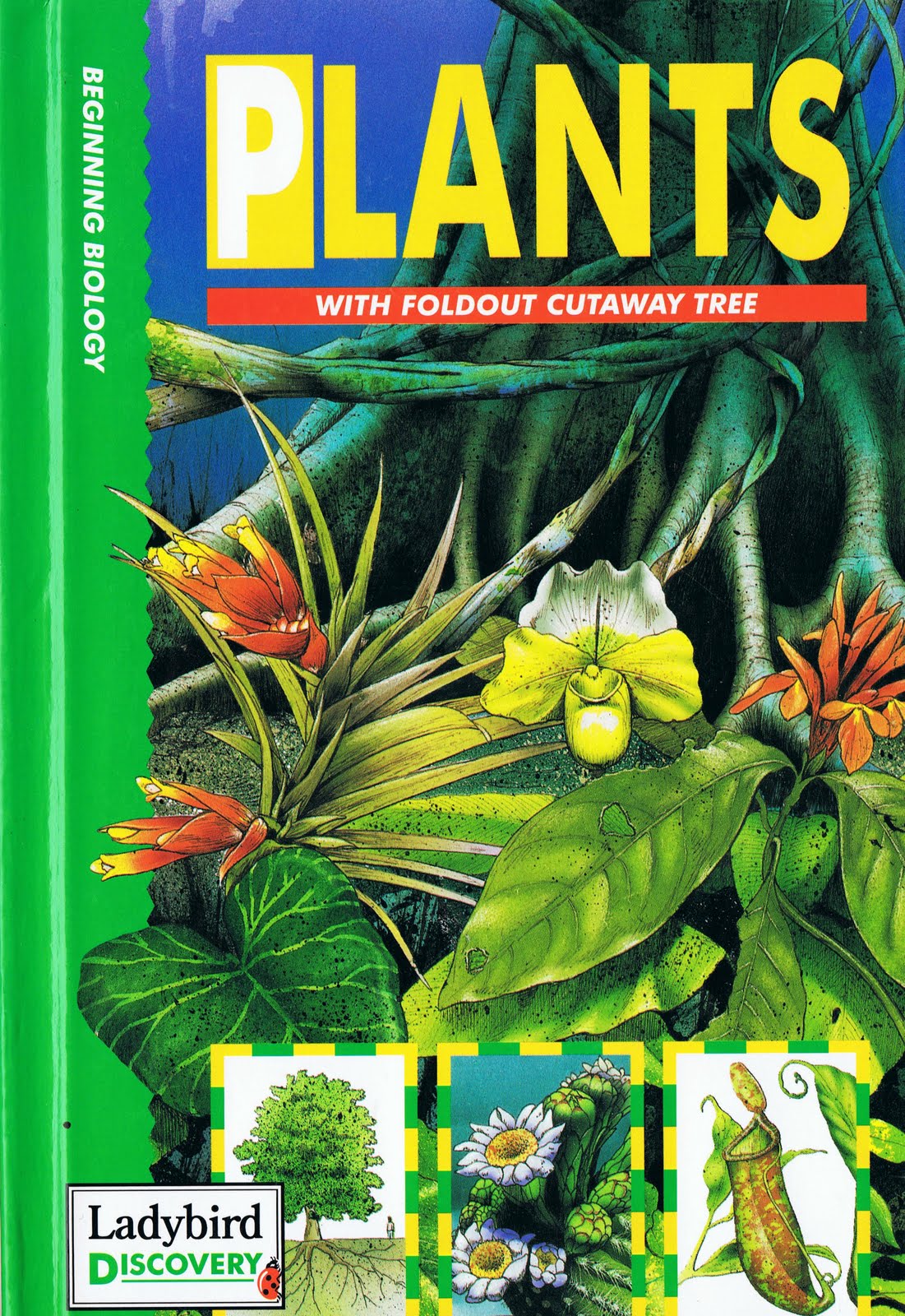 Little Library of Rescued Books November 2011