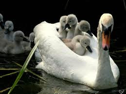 آية وقول وحكمة ليوم 7/20