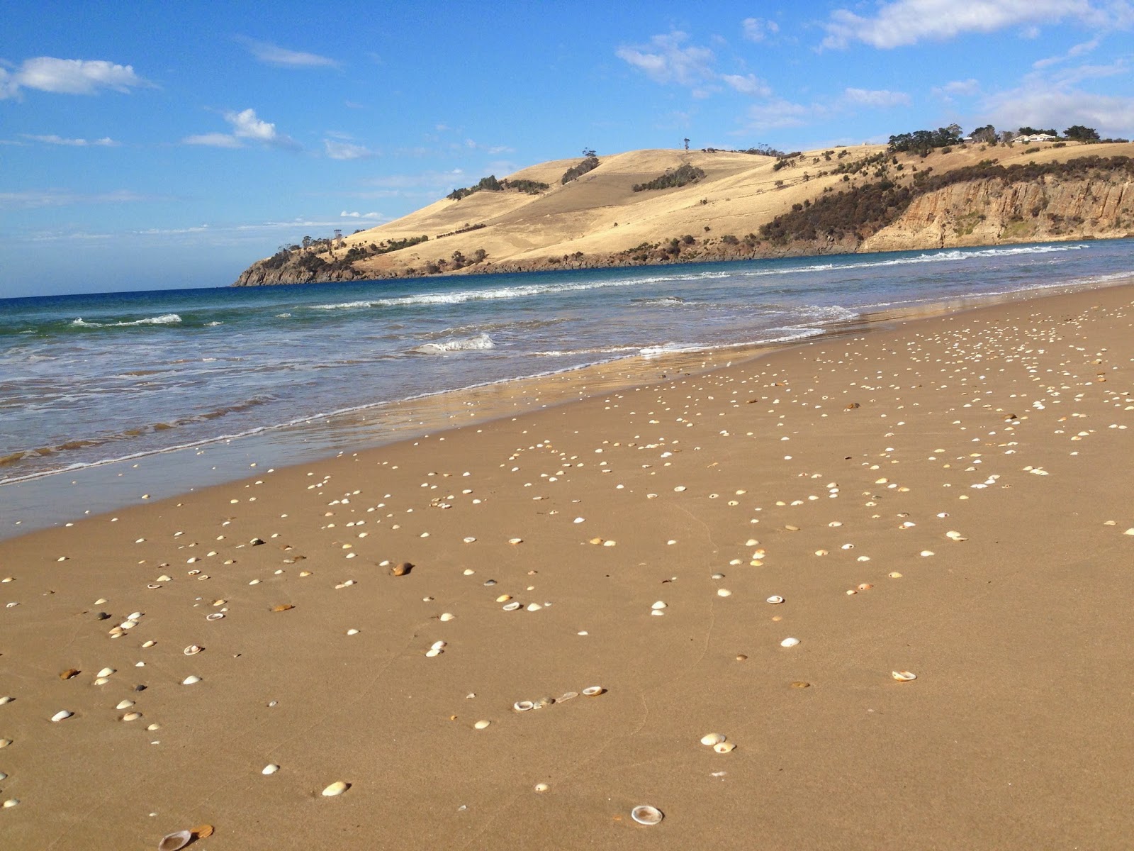 on assignment in melbourne Southerly House, Clifton Beach, TASMANIA