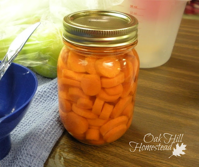 What to look for when you buy used canning jars - from Oak Hill Homestead