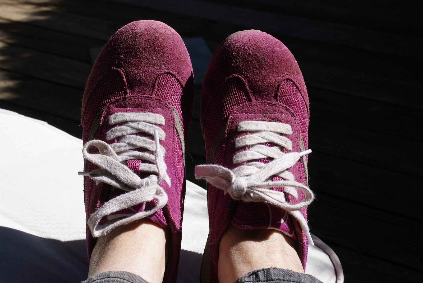 The Portuguese Water Blog Happy Feet