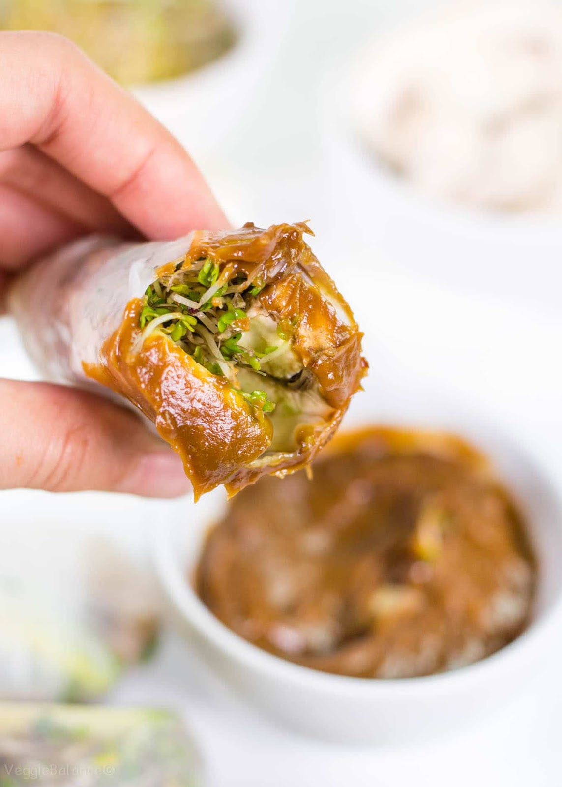 fresh spring rolls with avocado and thai peanut dipping sauce